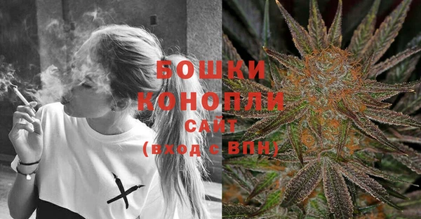 Альфа ПВП Горно-Алтайск