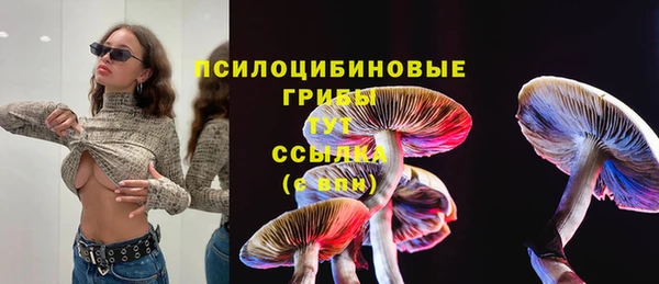 прущая мука Горняк