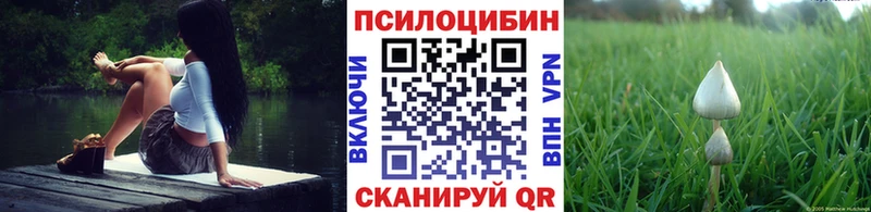Галлюциногенные грибы Cubensis  Купить  Собинка 